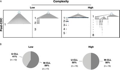 Post-Transformation IGHV-IGHD-IGHJ Mutations in Chronic Lymphocytic Leukemia B Cells: Implications for Mutational Mechanisms and Impact on Clinical Course